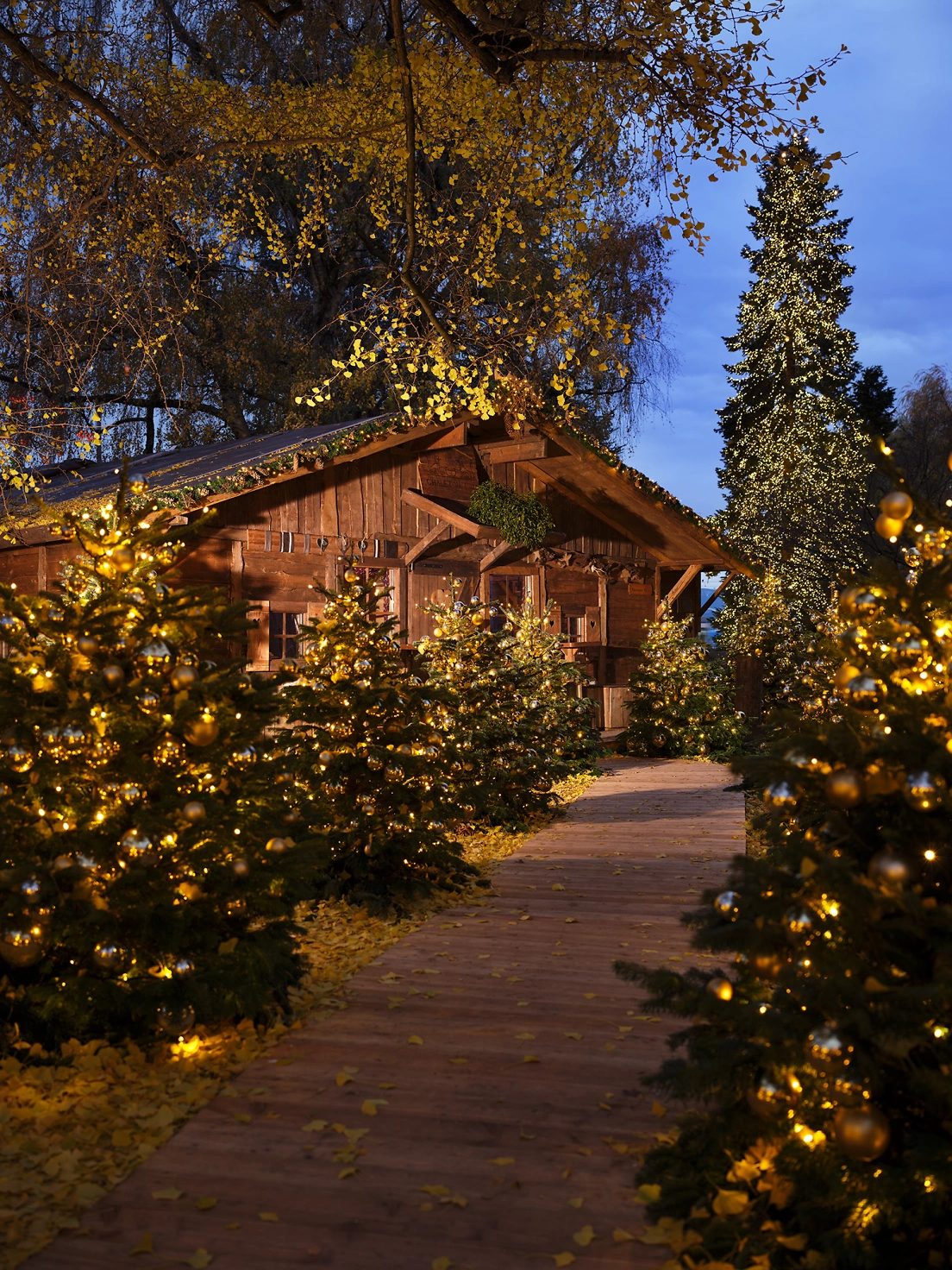 BAL Chalet Christmas Trees Entry way Winter Season